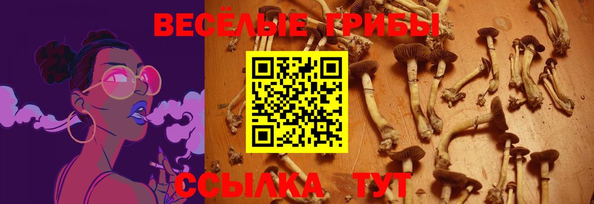 Псилоцибиновые грибы Psilocybine cubensis Балаково